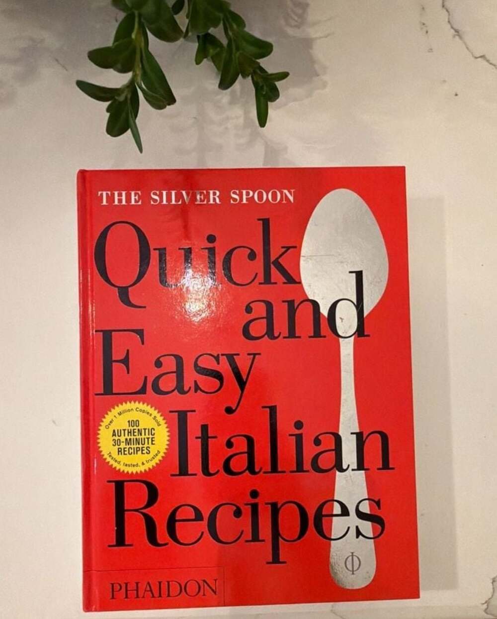 The Silver Spoon Quick and Easy Italian Recipes Cookbook Phaidon